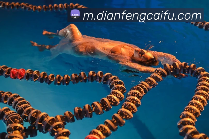 App Interface Preview