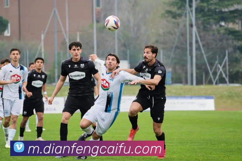 巅峰国际APP 封面图